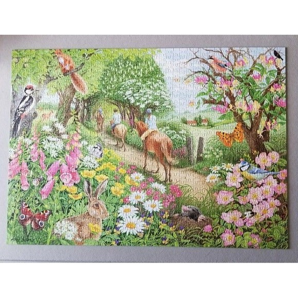 Falcon de luxe An Afternoon Hack 1000 pc Jigsaw Puzzle 2019 Complete Pre Owned - Picture 5 of 5